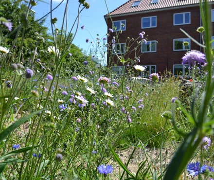 image_13.jpg