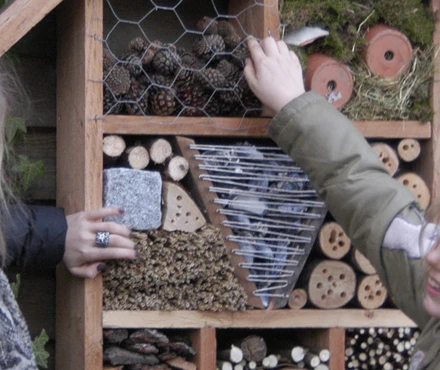 Insekthotteller-DSC_0062.jpg